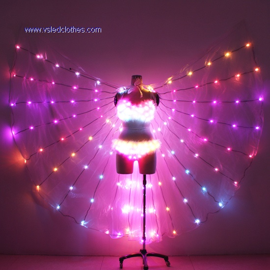 Woman LED Pants & LED Bra