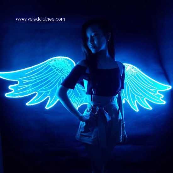 Acrylic LED Light Up Wings