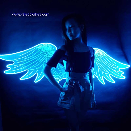 Acrylic LED Light Up Wings