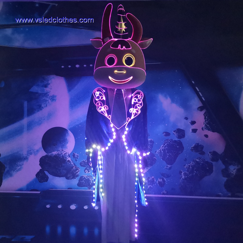 LED Cartoon Cown Performance Costume