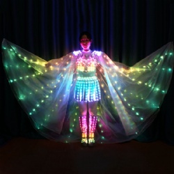 Full Color LED Magic Fairy Outfit