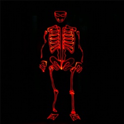 LED light up Fiber optic Ghost Suits