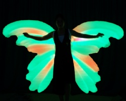 LED Inflatable Butterfly Wings