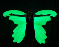 LED Inflatable Butterfly Wings