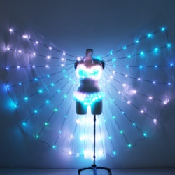 Woman LED Pants & LED Bra