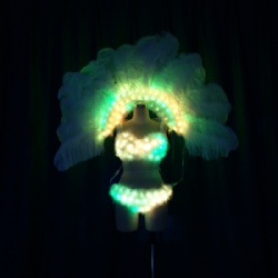 LED Light up Ostrich Feather Backpack