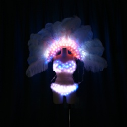 LED Light up Ostrich Feather Backpack