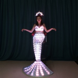 LED light up Mermaid Costumes