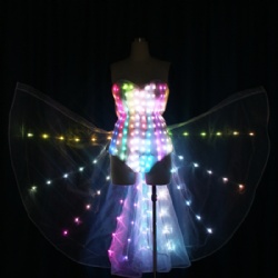 LED bikini with LED wings