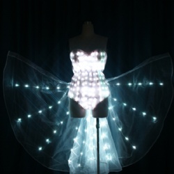 LED bikini with LED wings