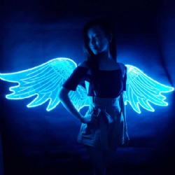 Acrylic LED Light Up Wings