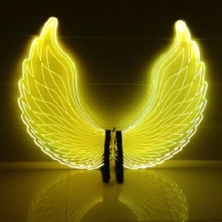 Acrylic LED Light Up Wings