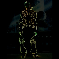 Wireless controlled team LED fiber optic costumes