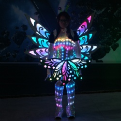 Fullcolor LED Bee Costumes