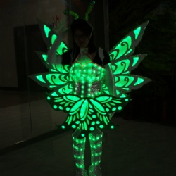 Fullcolor LED Bee Costumes