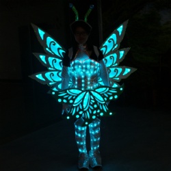 Fullcolor LED Bee Costumes