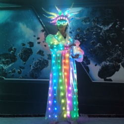 LED light up Clown costume