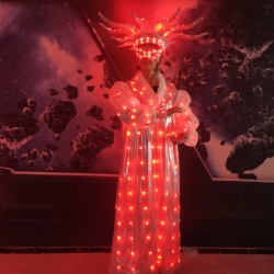 LED light up Clown costume