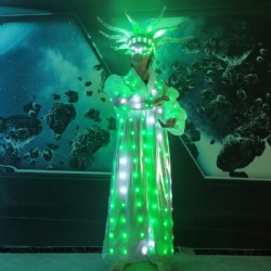 LED light up Clown costume