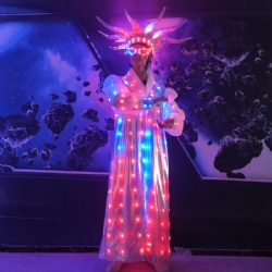 LED light up Clown costume