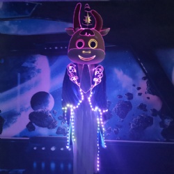 LED Cartoon Cown Performance Costume