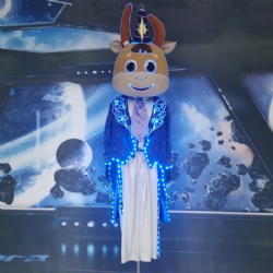 LED Cartoon Cown Performance Costume