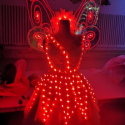 Led butterfly adult performance dress