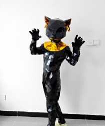 Mirror mirror black cat costume