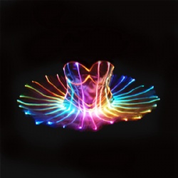LED Light Ballerina Skirt